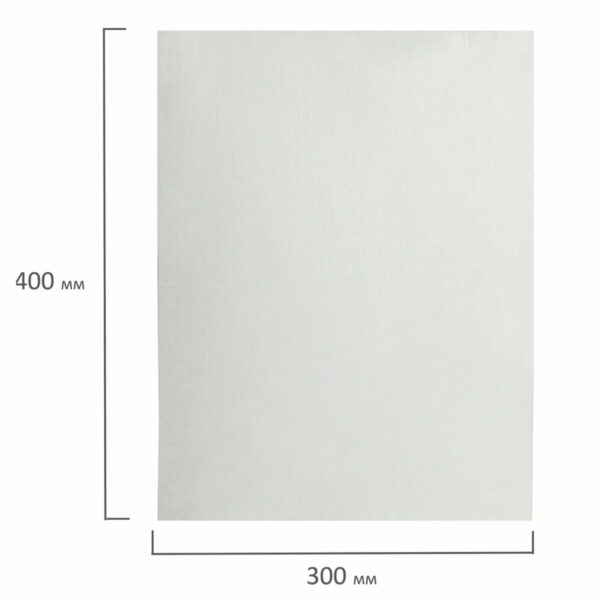 Салфетка одноразовая белая в рулоне 100 шт., 30х40 см, спанлейс 40 г/м2, ЧИСТОВЬЕ, 601-795