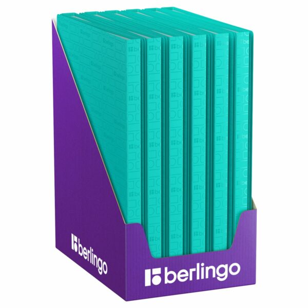Папка с 30 вкладышами Berlingo "Your Way" А4, 17мм, 600мкм, мятная, с внутр. карманом