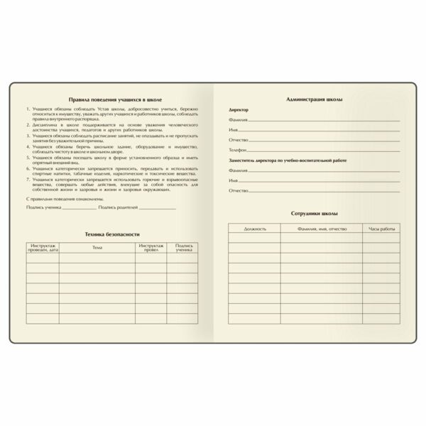 Дневник 1-11 кл. 48л. (твердый) BG "Elegance", иск. кожа, тиснение фольгой, выборочный лак, печать, ляссе