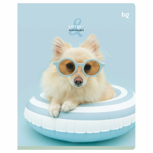 Тетрадь 48л., А5, линия BG "Lovely", микро sandy-touch лак
