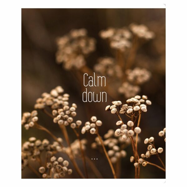 Тетрадь 96л., А5, клетка BG "Calm down", суперэконом