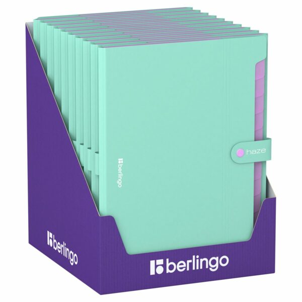 Папка 12 отделений Berlingo "Haze", А4, 600мкм, на кнопке, мятная