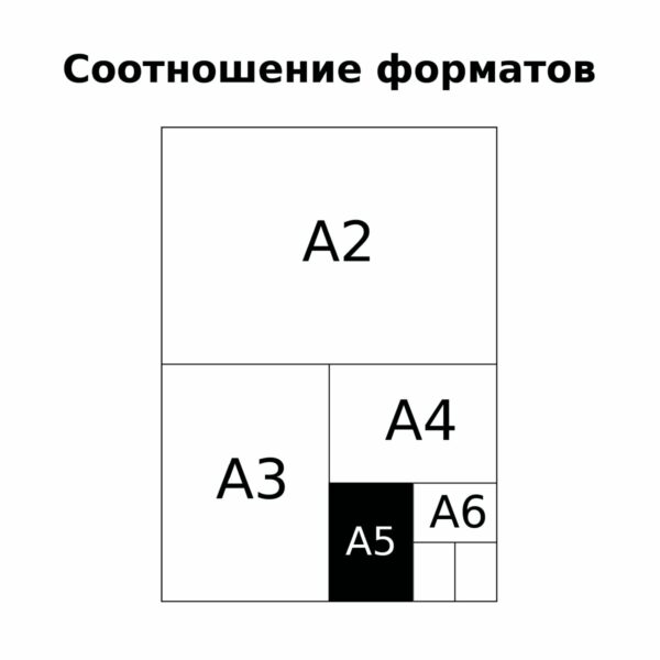 Тетрадь 12л., клетка BG "Экстрим", эконом