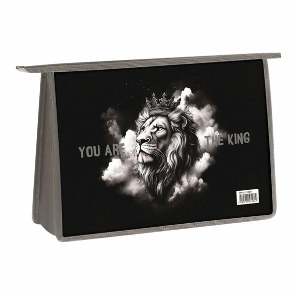 Папка для труда 2 отделения, А4, ArtSpace "King", пластик, на молнии