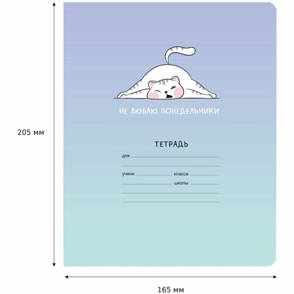 Тетрадь 18л., клетка BG "Ты особенная", эконом