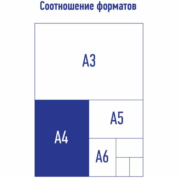 Папка на молнии Berlingo "Memphis" А4, 600мкм, с рисунком