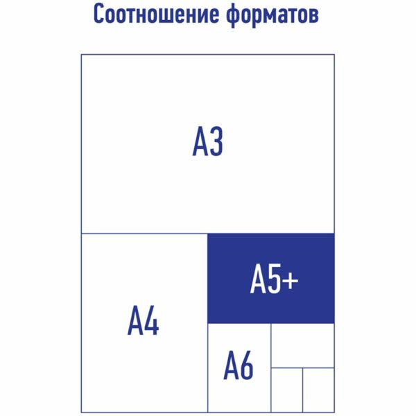 Папка на молнии Berlingo "Memphis" А5+, 600мкм, с рисунком