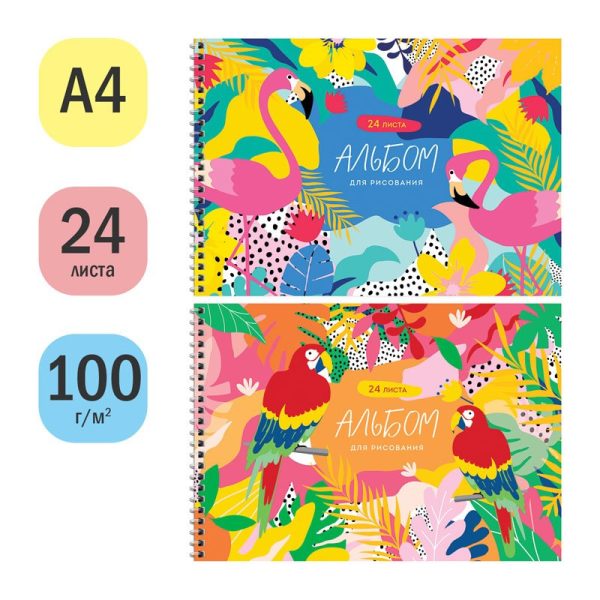Альбом для рисования 24л., А4, на гребне ArtSpace "Цветы. Bright tropics", эконом